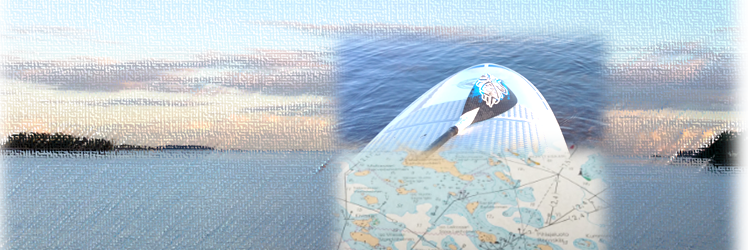 timokuntsi's profile banner image