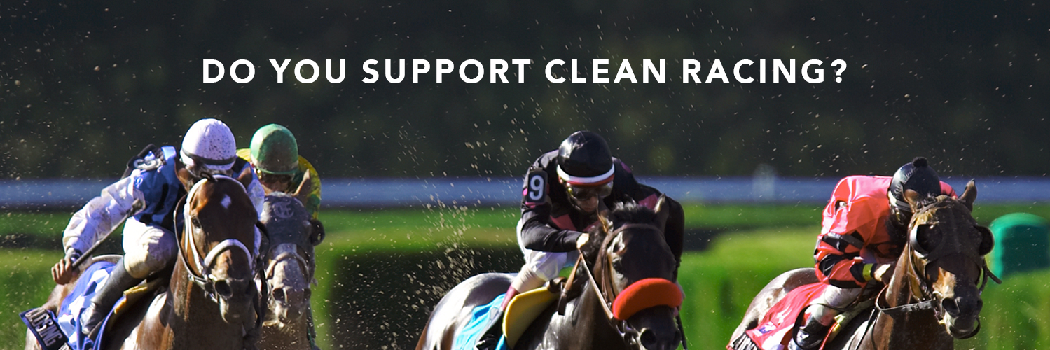 HorseIntegrity's profile banner image