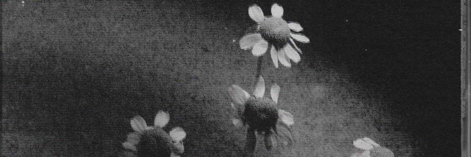 FozzSahe's profile banner image