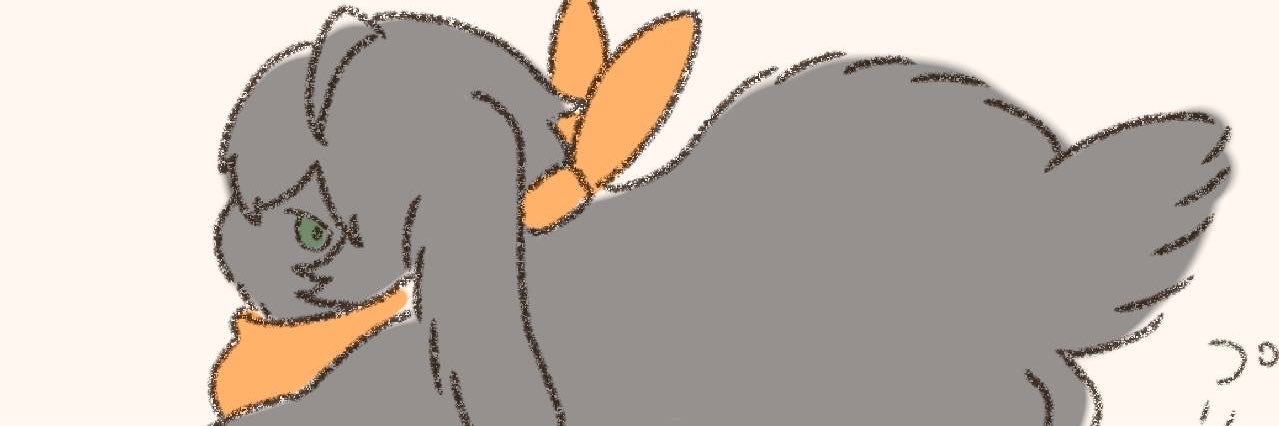 tuyaota's profile banner image
