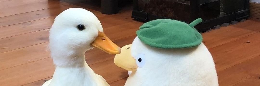 dkwtdwthy's profile banner image