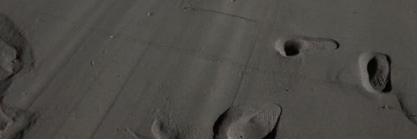 lnaelrh Profile Banner