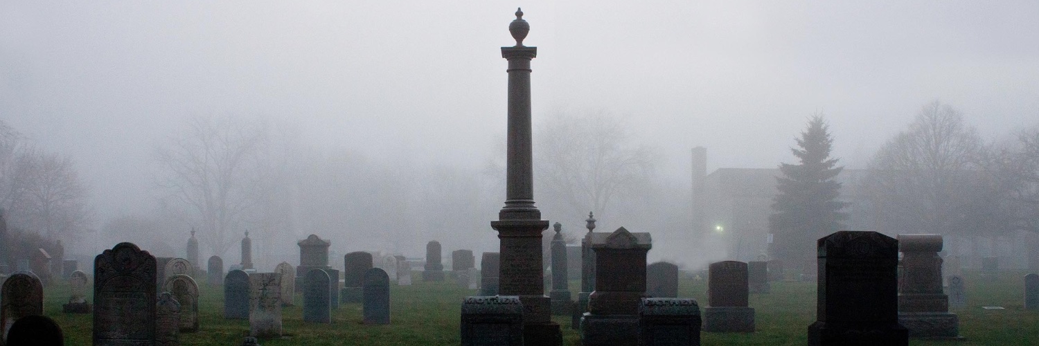 ZombieAlDavis's profile banner image