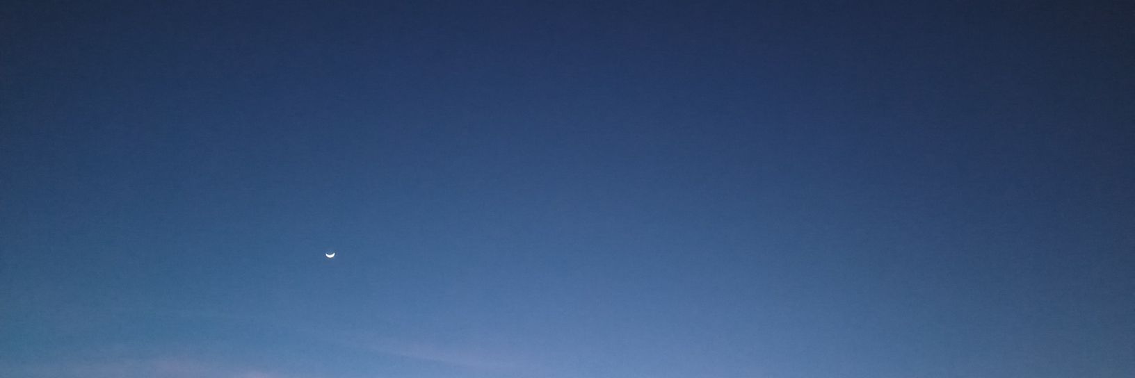 nelumbuim's profile banner image