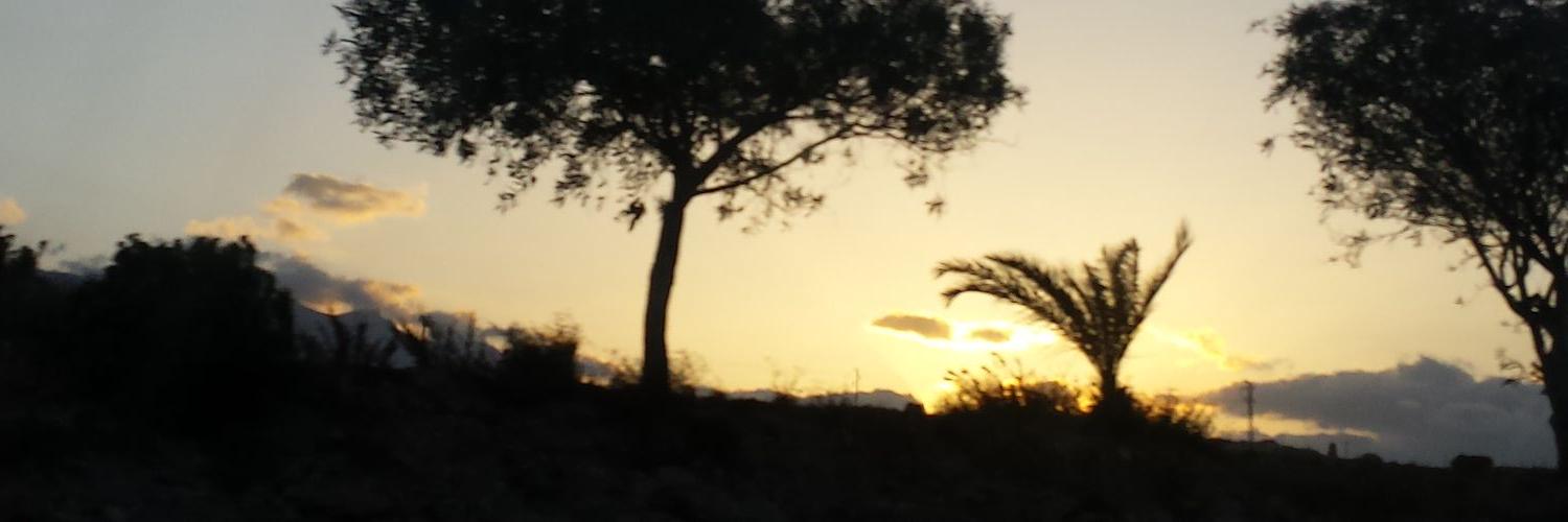 PorMisClavos's profile banner image