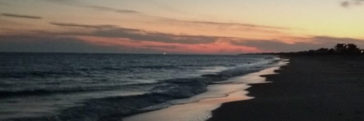bogan_jay's profile banner image