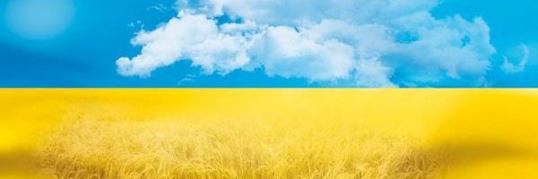 StepanKokhan's profile banner image