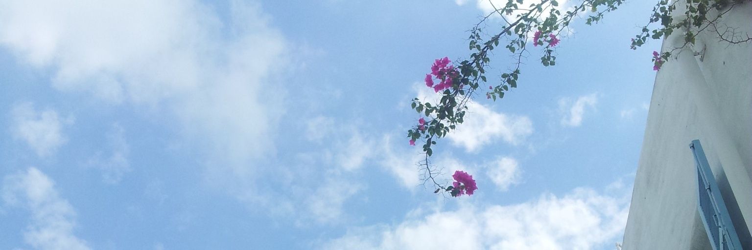 ITaptanee's profile banner image