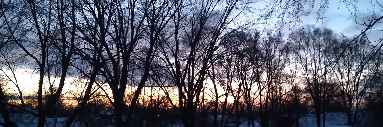 mindfulyenta's profile banner image