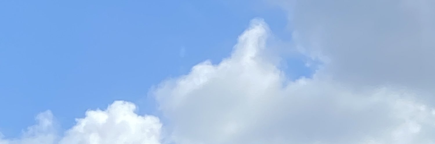 moraeslelet's profile banner image
