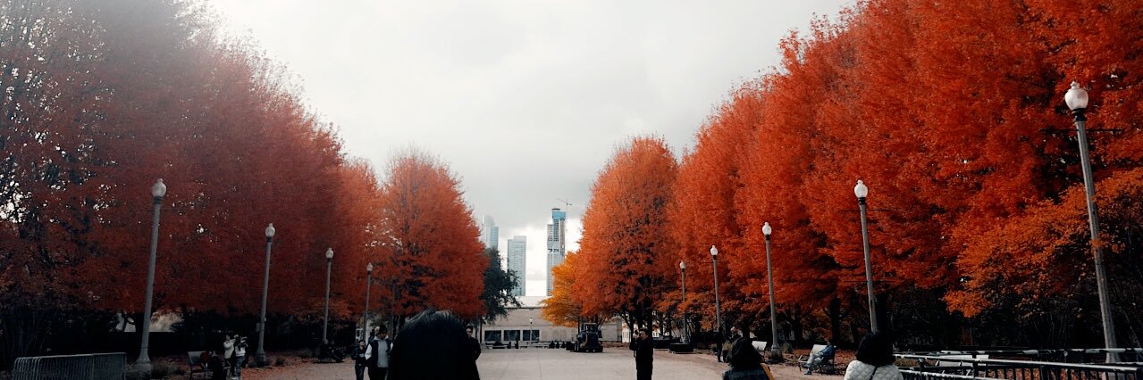 isabelschultz33's profile banner image