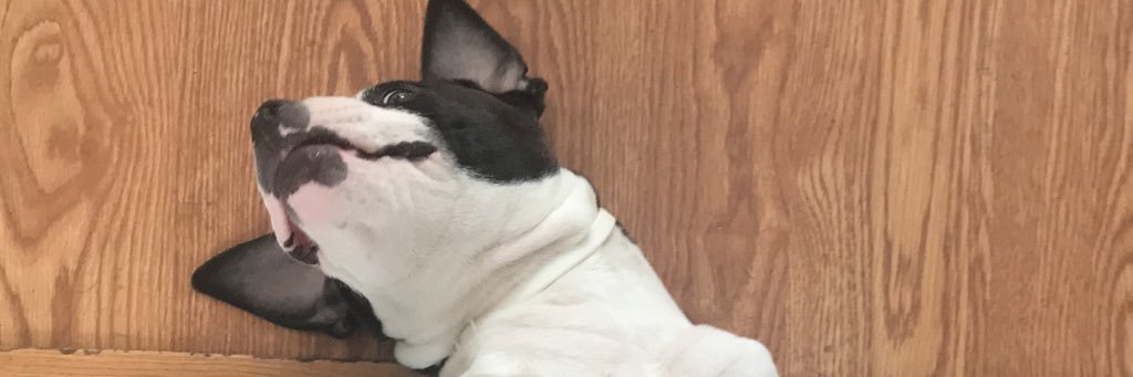 kyleigghh___'s profile banner image