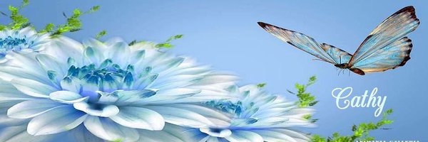 CCermele Profile Banner