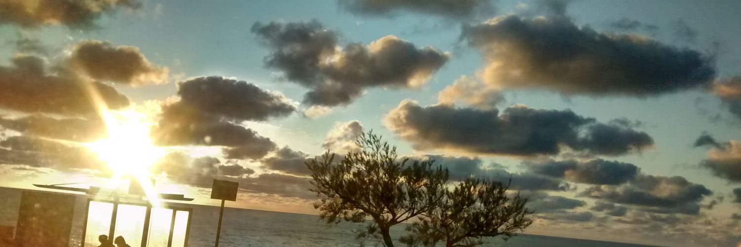 claradelcga's profile banner image