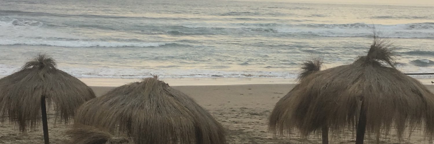 sofimunozmu's profile banner image