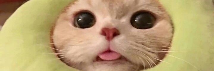 moonxmooon's profile banner image