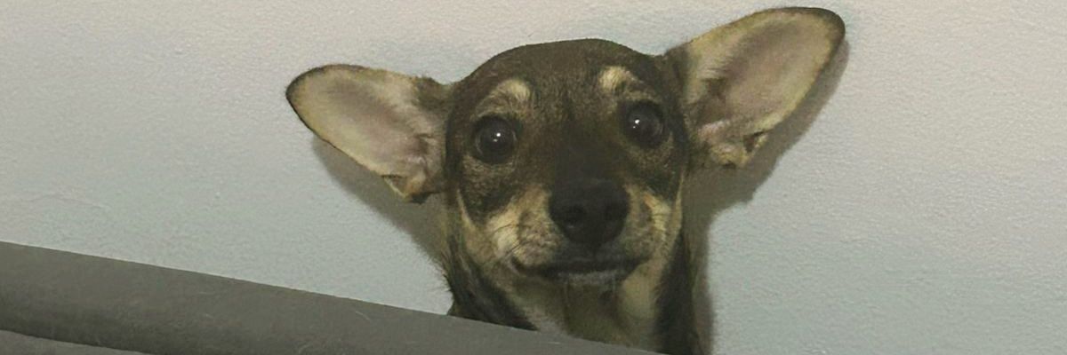 Jony_Rique13's profile banner image