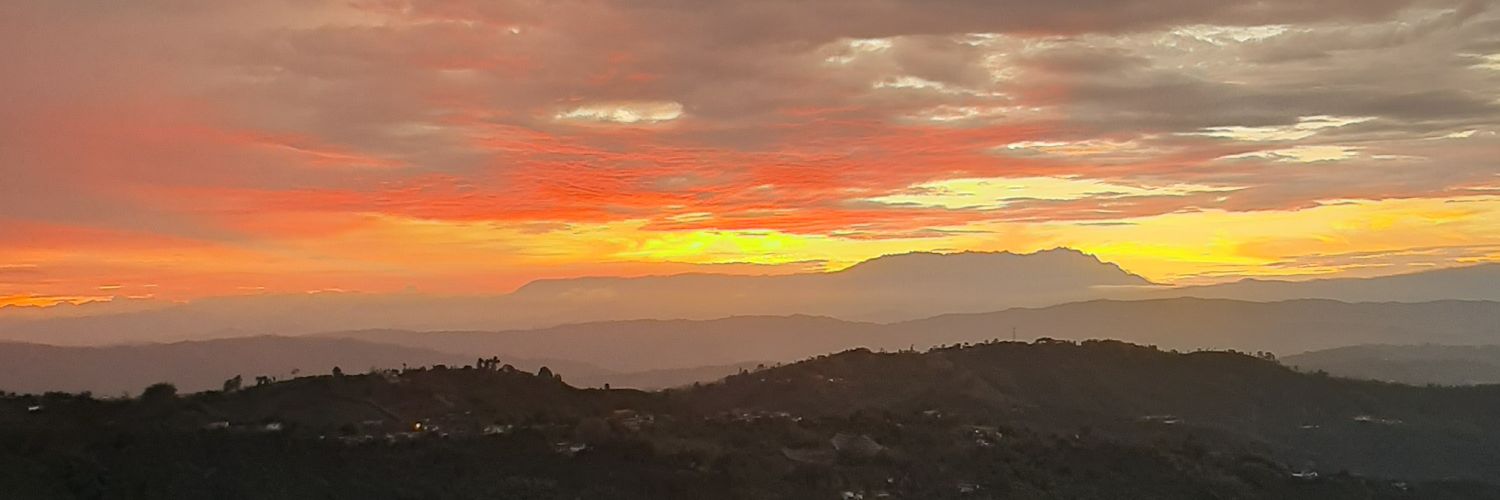 steevenoc's profile banner image