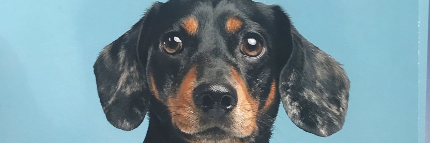 michaelamacdon3's profile banner image