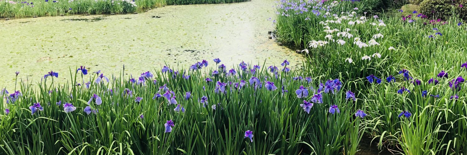 雪村@楽しく暮らしたい banner