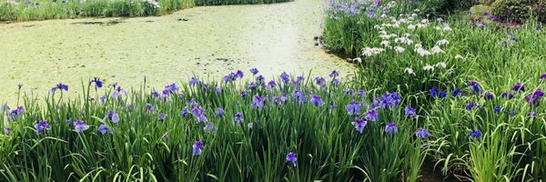 ruiyukimura Profile Banner