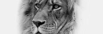 SilvaNego12's profile banner image