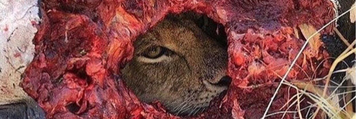 byekam's profile banner image