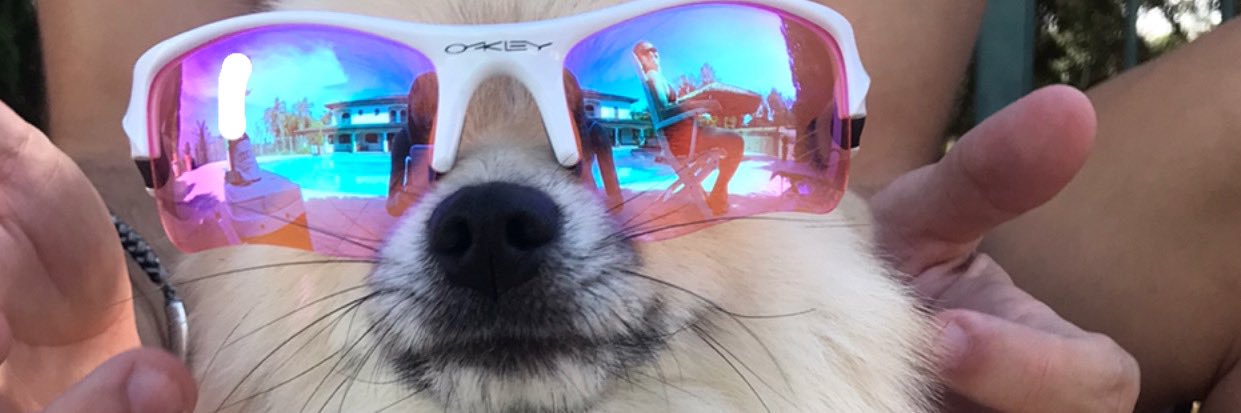 dudalvezz's profile banner image
