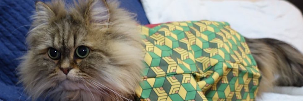 HELLO🐱さん&climbing_bird🦅 banner