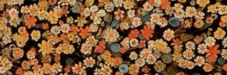 Hazsusu's profile banner image