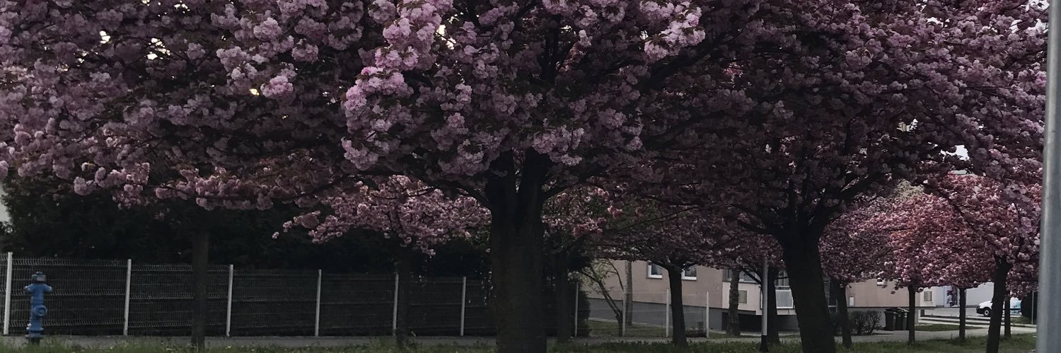 uffmagar's profile banner image