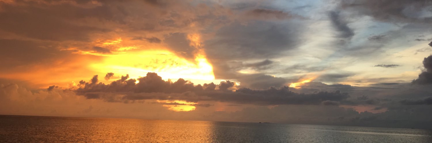 Philippe ARDOUIN banner