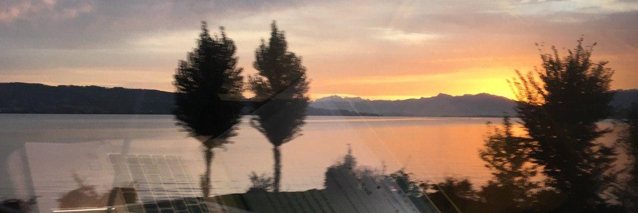 Edzard Schade banner