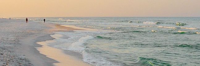 yellwcat's profile banner image