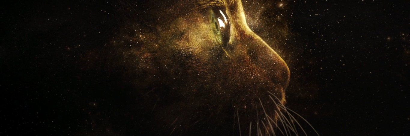 Kapitanylany's profile banner image