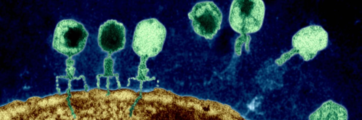 geenbio's profile banner image