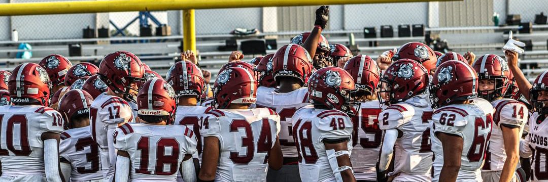 S-Dale Bulldog FB 🦴🔗's banner