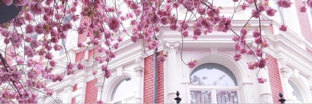 Thkr1996's profile banner image
