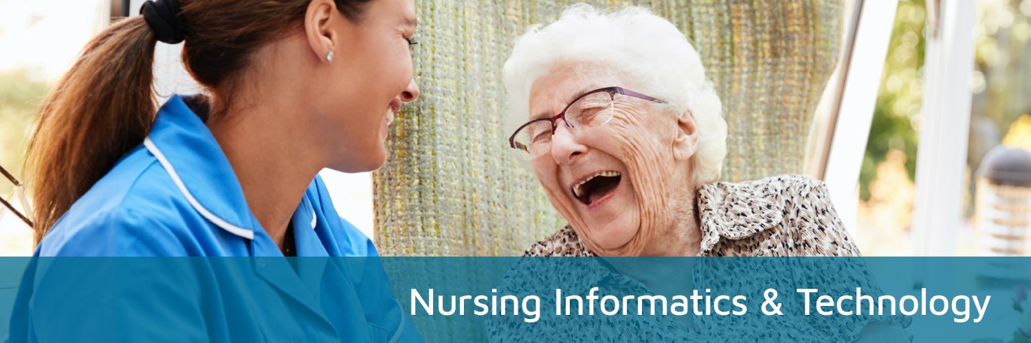 NursIT Institute banner