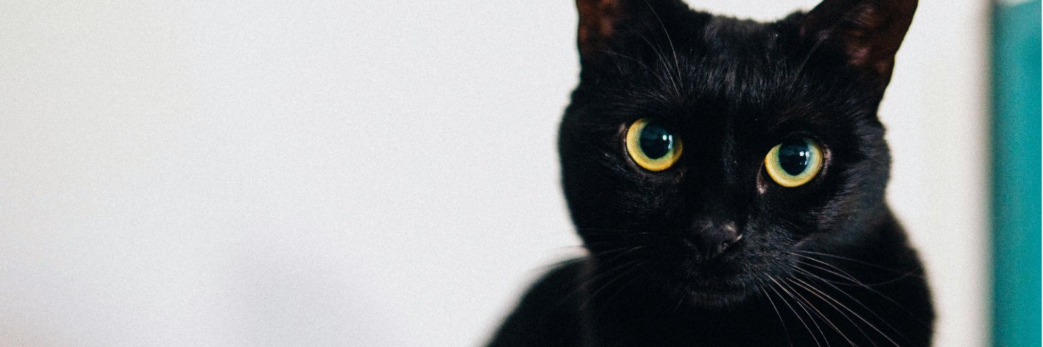 raresvlad37's profile banner image
