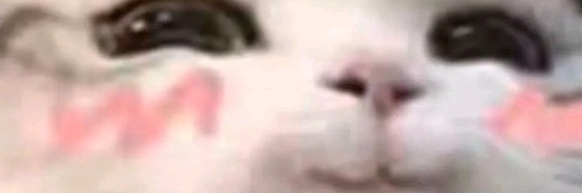 annysauruss's profile banner image
