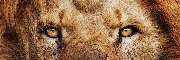 Saint_Mac_ Profile Banner