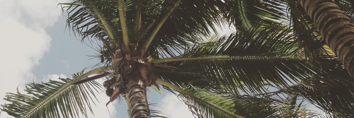 mere_mcgovern's profile banner image