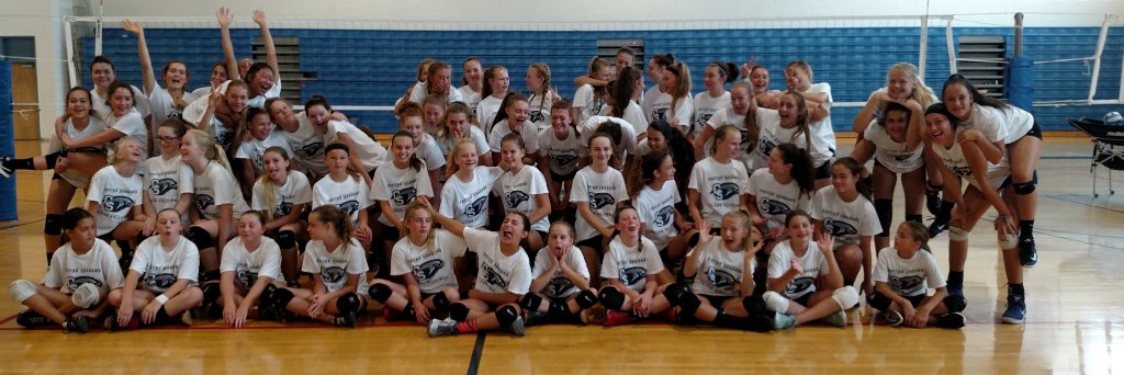 CSHS FALCONS VB banner