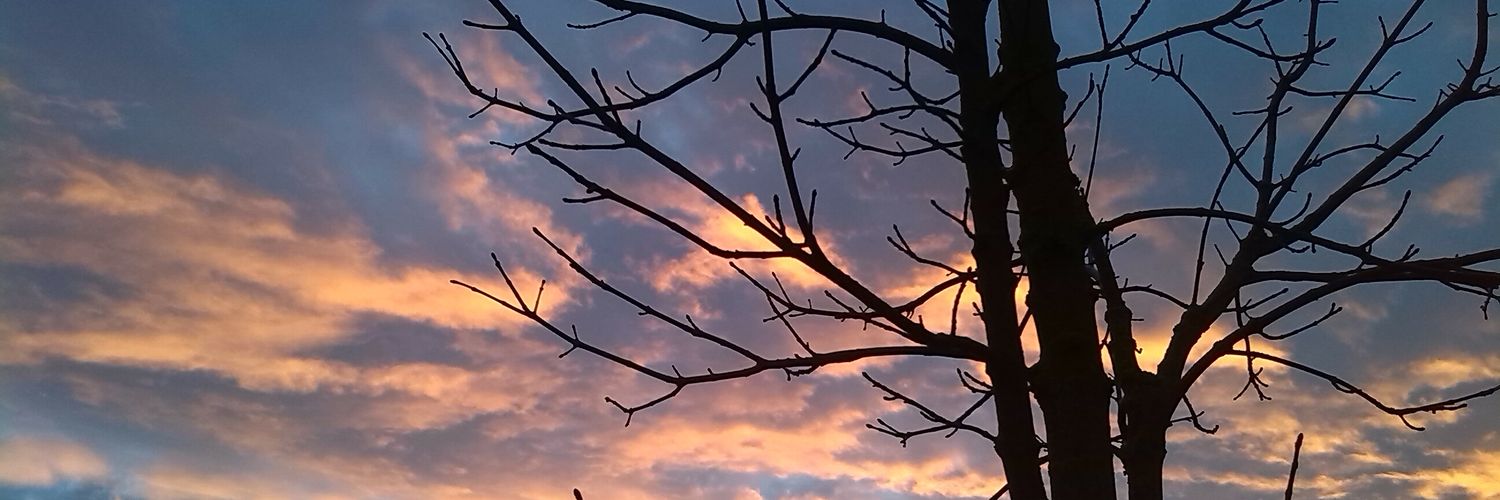 KayJayUK's profile banner image
