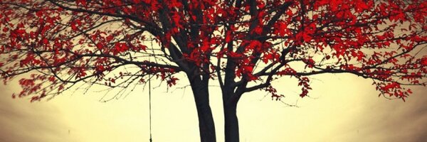 AmerG Profile Banner