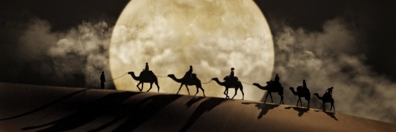 zadalmseer's profile banner image
