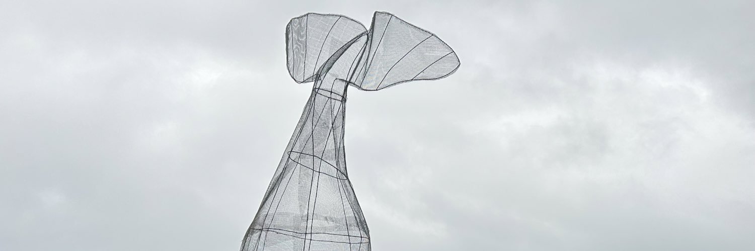 adela_ros's profile banner image