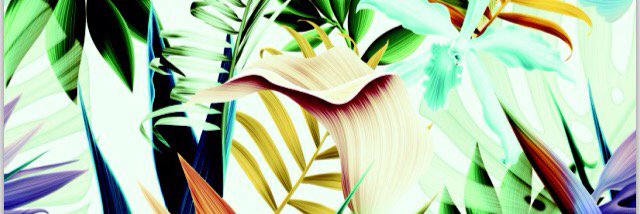 TibuRestaurant's profile banner image