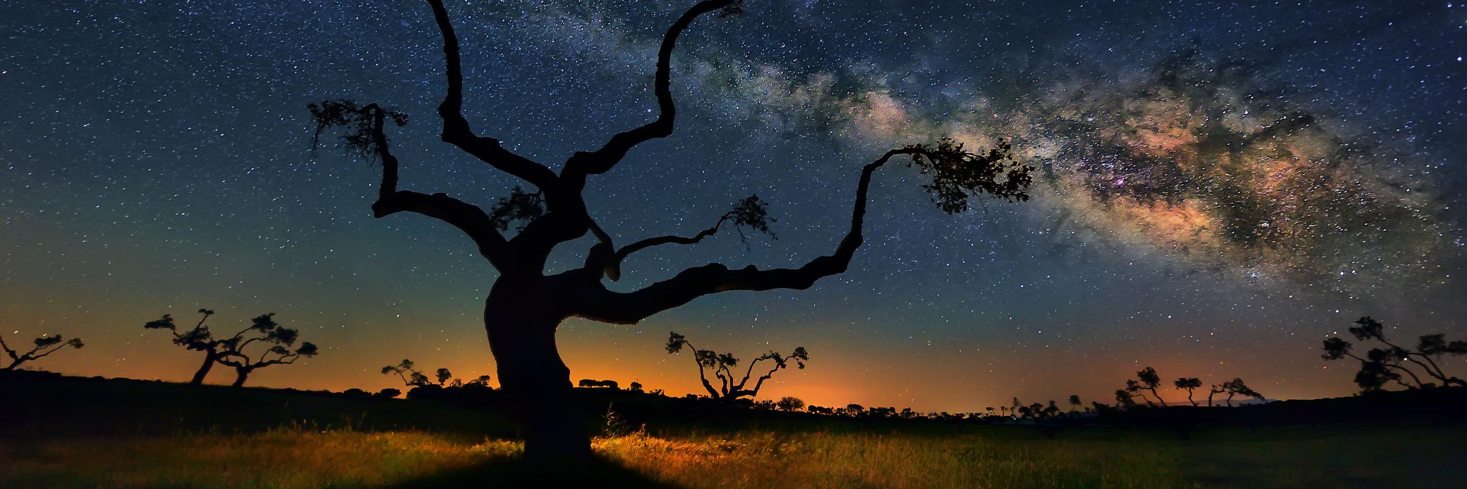 soldesierto's profile banner image